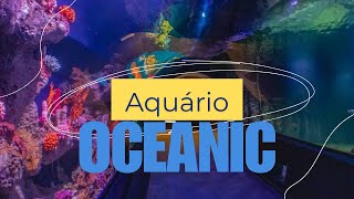 Aquário Oceanic Balneário Camboriú [upl. by Iot]