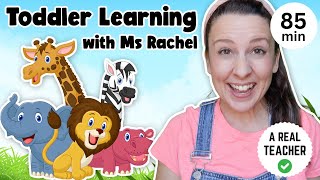 Toddler Learning with Ms Rachel  Learn Zoo Animals  Kids Songs  Educational Videos for Toddlers [upl. by Durr]