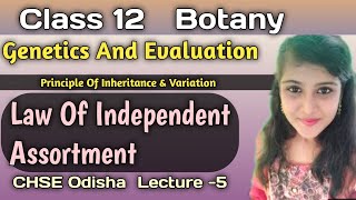 Class 12 Botany Genetics and Evaluation Law Of Independent Assortment CHSE Odisha [upl. by Kare]