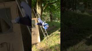 TREE of woe WWE Moves Trampoline Fake Body funny wwe wwewrestler wrestlingmove [upl. by Antonio124]