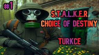 STALKER Choice of Destiny  TÜRKÇE 1 [upl. by Goldfarb]