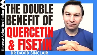 The DOUBLE Benefit of QUERCETIN amp FISETIN  Dr David Sinclair Interview Clips [upl. by Hcone]