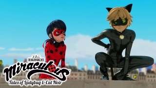 Miraculous Ladybug  ANIMAN  Ladybug and Cat Noir [upl. by Irpak822]