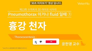 베터플릭스 흉강 천자Thoracocentesis강의 [upl. by Terraj]