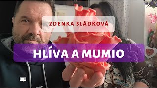 Hlíva a mumio Zdenka Sládková [upl. by Wilhelm]