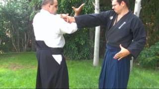 Ogawa Ryu Tokubetsu Jugyou  Teaching Moments  II [upl. by Downey]