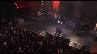 Yousei Teikoku  Vampire LIVE denkare cover [upl. by Jovitah800]