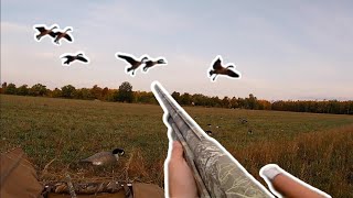 Goose Hunting in Canada2023 Season Highlights [upl. by Retepnhoj]