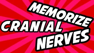 How to memorize Cranial Nerves easy method [upl. by Ahcim]