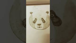 Simple panda drawing pop song cover lyrics art music [upl. by Utham957]