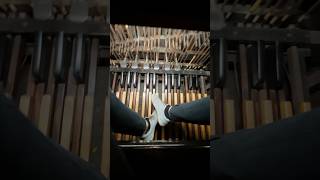 Most Powerful Bombarde shaking St Patrick’s Old Cathedral in New York City 😀 organ music [upl. by Marve]