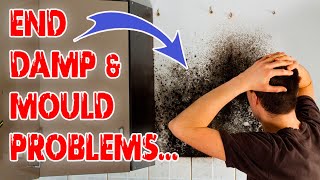 How to Fix Damp amp Mouldy Walls  Part 2 [upl. by Pantin]