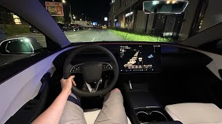 Tesla Model 3 Performance 2024 Night Drive [upl. by Imorej]