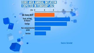 Eurozona stima per linflazione di febbraio in calo all85 [upl. by Currie]