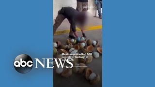 Police find fentanyl in coconuts [upl. by Jarrad]