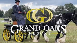 First Annual GHSA Southeast Region Show at the Grand Oaks Resort [upl. by Artaed]