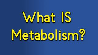 What is Metabolism 5 signs of Metabolic Problems [upl. by Ahsaf260]