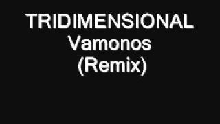 TRIDIMENSIONAL Vamonos Remix [upl. by Enwad435]