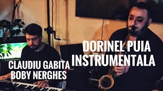 Dorinel PuiaBoby NerghesClaudiu Gabita Instrumental 3 [upl. by Down132]