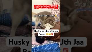 My husky’s morning routine Uth jaa Pawpa🤦‍♂️🤣🚨 funnyhusky dogdad doglovers [upl. by Ivanna]