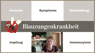 Blauzungenkrankheit  Ursache  Symptome  Behandlung  Impfung  Immunsystem  Fallbeispiel Schafe [upl. by Konrad]