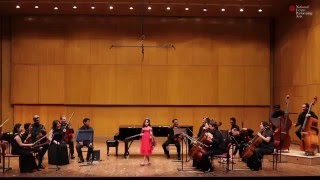 Seitz Concerto no 2 first movement in G Major [upl. by Adnoma101]