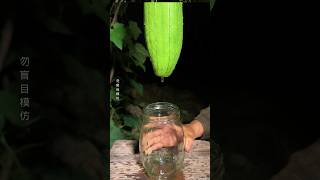 Ancient method Sponge gourd water gourdrecipe healthy shorts [upl. by Mahda14]