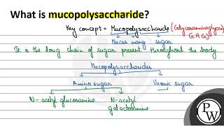 What is mucopolysaccharide W [upl. by Lucey]