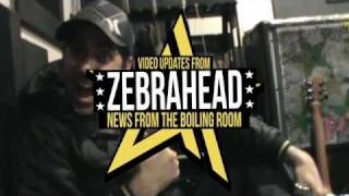 Zebrahead  Studio Update 23  Matty Guitar Edition 2011 [upl. by Akeit]