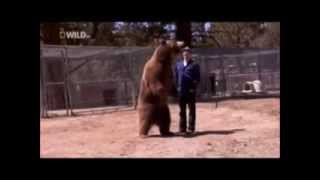 911 call Bear kills a man Warning graphic content [upl. by Loeb]