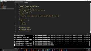 Node JS Tutorial for Beginners 21  The packagejson File [upl. by Yuma]