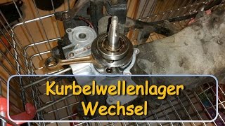 Roller KurbelwellenlagerWechsel  Piaggio  bizzybest [upl. by Yenoh805]