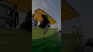 Scuba diving 🤿 youtubeshorts shorts scubadiving uaeadventure uaetouristplace dibbabeach uae [upl. by Drawd]