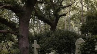 Churchyard AURORACover By TATIANA PELLEGRINI [upl. by Sower]