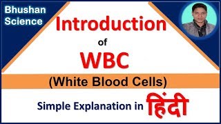 WBC White Blood Cells Introduction in Hindi  Bhushan Science [upl. by Scotney]