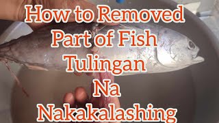 How To Removed Part of Fish Tulingan Poisonous [upl. by Adnileb174]