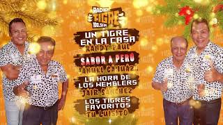 RADIO TIGRE  RUGE CONTIGO [upl. by Nerrol646]