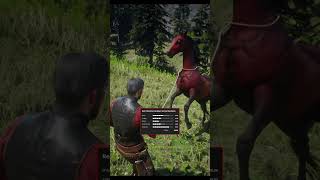 RARE Horse Location In RDR2 shorts rdr2 funny [upl. by Amikehs228]