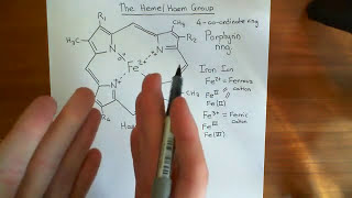 The Heme Group and Hemoglobin Part 1 [upl. by Aicnetroh429]