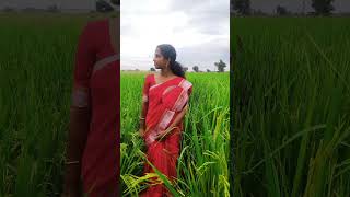 Yathrayayi sooryanguram malayalam song music [upl. by Buxton]