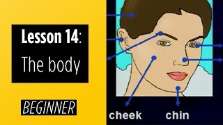 Beginner Levels  Lesson 14 The Body [upl. by Noni]