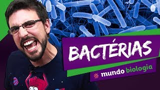 🦠 Microbiologia 25 Bactérias  Biologia  ENEM [upl. by Mail]