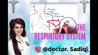 Respiratory system made easy [upl. by Aivital747]