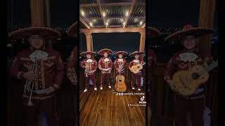 Mariachi Barcelona en Banyoles  Tequilas y Tacos [upl. by Aranaj]