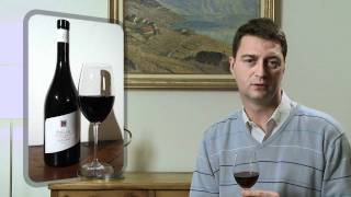 Syrah du Valais 2010 JeanRené Germanier  Dégustation vidéo [upl. by Brock981]