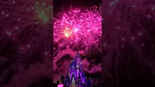 Happily Ever After disneycreator disneyinfluencer happilyeverafter magickingdom fireworks [upl. by Dlorad994]