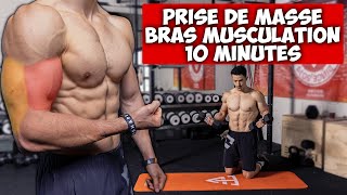 Prise de masse bras biceps triceps musculation programme [upl. by Whipple724]