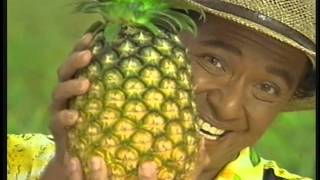 Del Monte  Del Monte Pinapple Juice quotMr F  Phytoquot TVC 45s 1995 [upl. by Naesar]