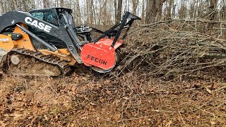 Forestry Mulching with the Case DL550 Minotaur Fecon and Dirt Perfect [upl. by Laveen]