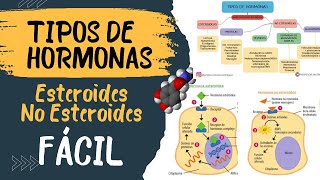 🧬 TIPOS DE HORMONAS ❌ diferencias  Esteroideas y no esteroideas [upl. by Hoisch585]